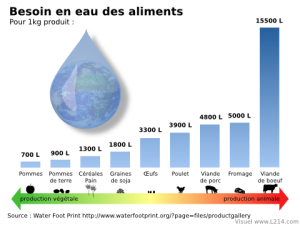 eau-fonction-aliments-480x360